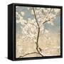 Cherry Blossoms I-John Seba-Framed Stretched Canvas