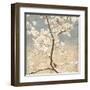 Cherry Blossoms I-John Seba-Framed Art Print