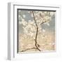 Cherry Blossoms I-John Seba-Framed Art Print