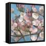 Cherry Blossoms I-Sandra Iafrate-Framed Stretched Canvas
