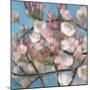 Cherry Blossoms I-Sandra Iafrate-Mounted Art Print