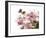 Cherry Blossoms II-Joy Doherty-Framed Giclee Print