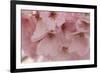 Cherry Blossoms II-Rita Crane-Framed Premium Giclee Print