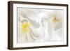 Cherry Blossoms II-Kathy Mahan-Framed Photographic Print