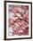 Cherry Blossoms II-Susan Bryant-Framed Photographic Print