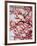 Cherry Blossoms II-Susan Bryant-Framed Photographic Print