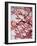 Cherry Blossoms II-Susan Bryant-Framed Photographic Print