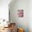 Cherry Blossoms II-Susan Bryant-Mounted Photographic Print displayed on a wall