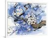 Cherry Blossoms II-Paul Brent-Framed Art Print