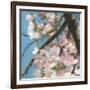 Cherry Blossoms II-Sandra Iafrate-Framed Art Print