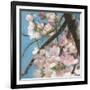 Cherry Blossoms II-Sandra Iafrate-Framed Art Print