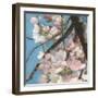 Cherry Blossoms II-Sandra Iafrate-Framed Art Print