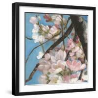 Cherry Blossoms II-Sandra Iafrate-Framed Art Print