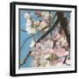 Cherry Blossoms II-Sandra Iafrate-Framed Art Print