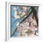 Cherry Blossoms II-Sandra Iafrate-Framed Art Print