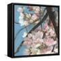 Cherry Blossoms II-Sandra Iafrate-Framed Stretched Canvas