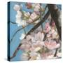 Cherry Blossoms II-Sandra Iafrate-Stretched Canvas