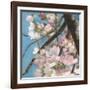 Cherry Blossoms II-Sandra Iafrate-Framed Art Print