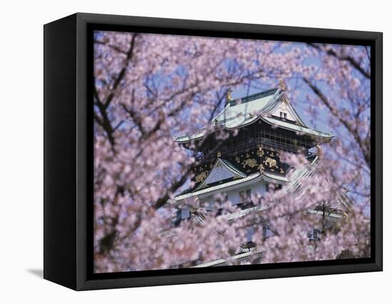 Cherry Blossoms in Front of Osaka Castle-Robert Essel-Framed Stretched Canvas