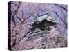 Cherry Blossoms in Front of Osaka Castle-Robert Essel-Stretched Canvas