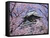 Cherry Blossoms in Front of Osaka Castle-Robert Essel-Framed Stretched Canvas