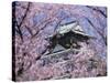 Cherry Blossoms in Front of Osaka Castle-Robert Essel-Stretched Canvas