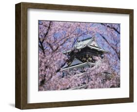Cherry Blossoms in Front of Osaka Castle-Robert Essel-Framed Photographic Print