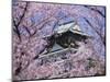 Cherry Blossoms in Front of Osaka Castle-Robert Essel-Mounted Photographic Print