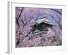 Cherry Blossoms in Front of Osaka Castle-Robert Essel-Framed Photographic Print