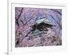 Cherry Blossoms in Front of Osaka Castle-Robert Essel-Framed Photographic Print