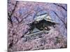 Cherry Blossoms in Front of Osaka Castle-Robert Essel-Mounted Photographic Print