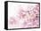 Cherry Blossoms in Full Bloom-landio-Framed Stretched Canvas