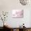 Cherry Blossoms in Full Bloom-landio-Stretched Canvas displayed on a wall