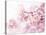 Cherry Blossoms in Full Bloom-landio-Stretched Canvas