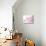 Cherry Blossoms in Full Bloom-landio-Stretched Canvas displayed on a wall