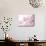 Cherry Blossoms in Full Bloom-landio-Mounted Photographic Print displayed on a wall