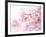 Cherry Blossoms in Full Bloom-landio-Framed Photographic Print