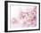 Cherry Blossoms in Full Bloom-landio-Framed Photographic Print