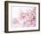 Cherry Blossoms in Full Bloom-landio-Framed Photographic Print