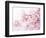 Cherry Blossoms in Full Bloom-landio-Framed Photographic Print