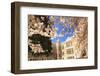 Cherry Blossoms in peak bloom, Spring, University of Washington campus, Seattle, WA, USA-Stuart Westmorland-Framed Photographic Print