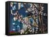 Cherry Blossoms in Small Town America-Wolterk-Framed Stretched Canvas