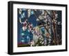 Cherry Blossoms in Small Town America-Wolterk-Framed Photographic Print