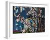 Cherry Blossoms in Small Town America-Wolterk-Framed Photographic Print