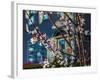 Cherry Blossoms in Small Town America-Wolterk-Framed Photographic Print