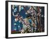 Cherry Blossoms in Small Town America-Wolterk-Framed Photographic Print