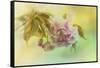 Cherry Blossoms in Spring-Jai Johnson-Framed Stretched Canvas