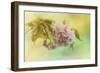 Cherry Blossoms in Spring-Jai Johnson-Framed Giclee Print