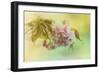 Cherry Blossoms in Spring-Jai Johnson-Framed Giclee Print