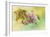 Cherry Blossoms in Spring-Jai Johnson-Framed Giclee Print